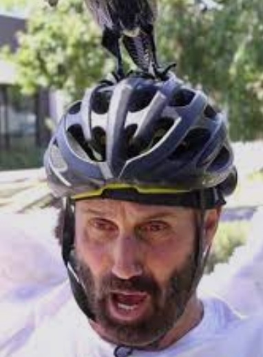 shoutout from The Magpie man